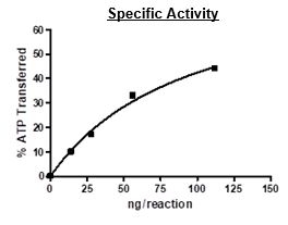 Functional Studies - Recombinant human TYRO3 protein (Active) (GST tag N-Terminus) (AB271778)