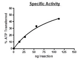 Functional Studies - Recombinant human TYRO3 protein (Active) (GST tag N-Terminus) (AB271778)