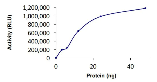 Functional Studies - Recombinant human Uba6 protein (Active) (AB269092)