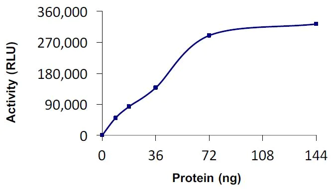 Functional Studies - Recombinant human UBC13 protein (Active) (AB269107)
