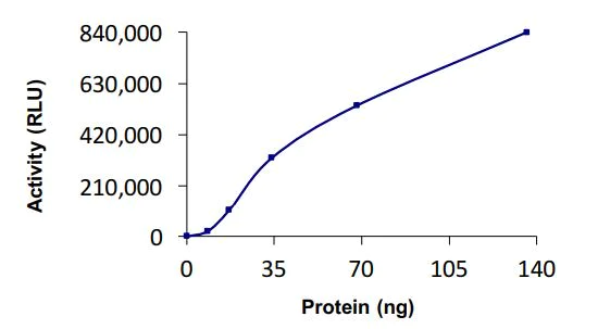 Functional Studies - Recombinant human UBE2D3 protein (Active) (AB269098)