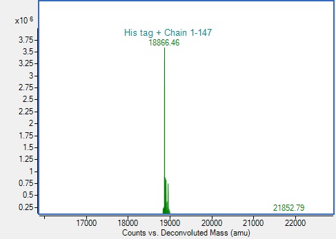Mass Spectrometry - Recombinant Human UBE2D3 protein (His-tag) (AB317878), expandable thumbnail