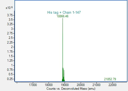 Mass Spectrometry - Recombinant Human UBE2D3 protein (His-tag) (AB317878)