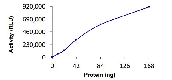 Functional Studies - Recombinant human Ube2G1 protein (Active) (AB269101)