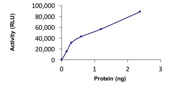 Functional Studies - Recombinant human UBE2I / UBC9 protein (Active) (AB269103)