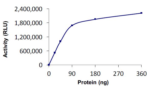 Functional Studies - Recombinant human UBE2O protein (Active) (AB269108), expandable thumbnail
