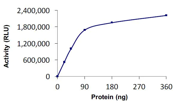 Functional Studies - Recombinant human UBE2O protein (Active) (AB269108)