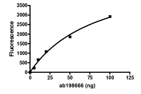 Functional Studies - Recombinant human UBPY/USP8 protein (AB198666), expandable thumbnail