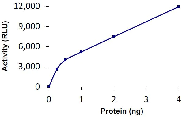 Functional Studies - Recombinant human UBPY/USP8 protein (Active) (AB269128)