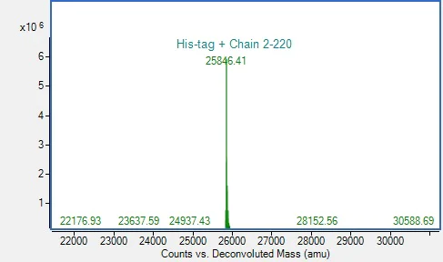 Mass Spectrometry - Recombinant Human UCH-L1/PGP9.5 Protein (His-tag) (AB317877)