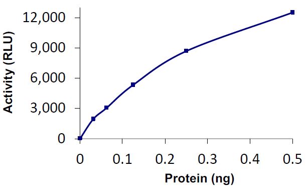 Recombinant human UCH37 protein (Active)