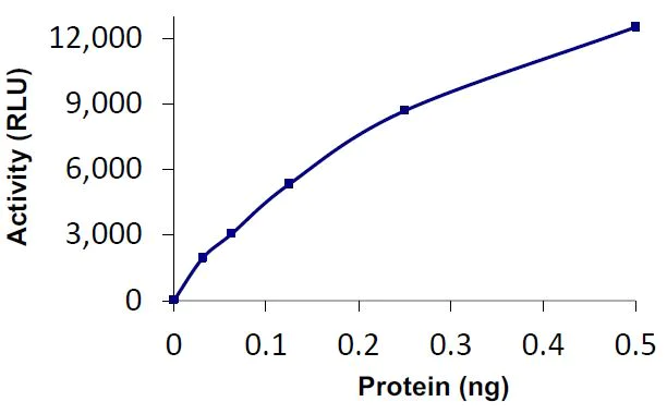 Functional Studies - Recombinant human UCH37 protein (Active) (AB269112)