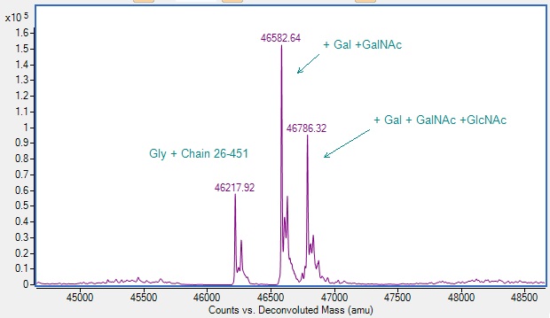 Mass Spectrometry - Recombinant Human UFO (AXL) Protein (AB290055), expandable thumbnail
