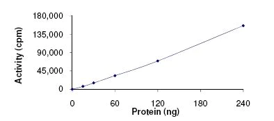 Functional Studies - Recombinant human ULK1 protein (AB125656)