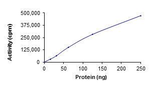 Functional Studies - Recombinant human ULK1 protein (AB125656)