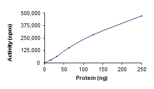 Functional Studies - Recombinant human ULK1 protein (AB125656)