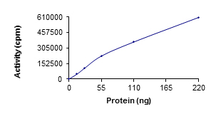 Functional Studies - Recombinant human ULK2 protein (AB125622)