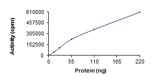 Functional Studies - Recombinant human ULK2 protein (GST tag N-Terminus) (AB125622)