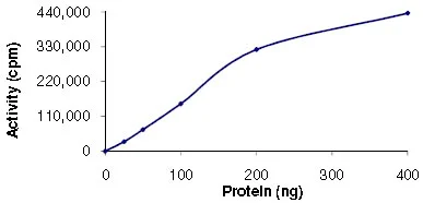 Functional Studies - Recombinant human ULK2 protein (GST tag N-Terminus) (AB125622)