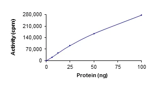 Functional Studies - Recombinant human ULK3 protein (AB101548)