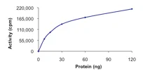 Functional Studies - Recombinant human ULK3 protein (His tag N-Terminus) (AB101548)