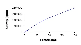 Functional Studies - Recombinant human ULK3 protein (His tag N-Terminus) (AB101548)