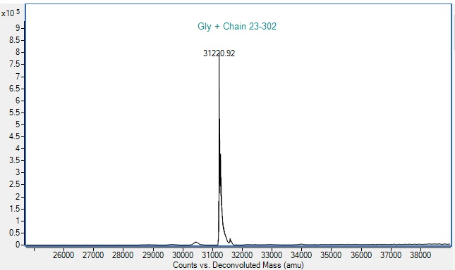 Mass Spectrometry - Recombinant Human UPAR Protein (Active) (AB290079), expandable thumbnail