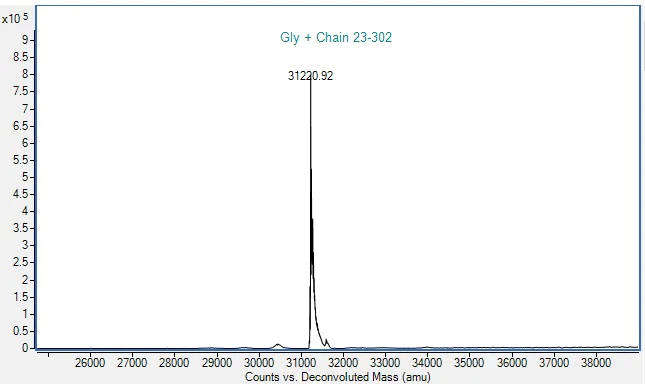 Mass Spectrometry - Recombinant Human UPAR Protein (Active) (AB290079)