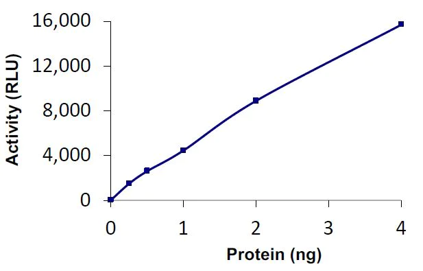 Functional Studies - Recombinant human USP11 protein (Tagged) (AB269114)