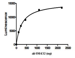 Functional Studies - Recombinant human USP14/TGT protein (AB198432), expandable thumbnail