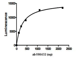 Functional Studies - Recombinant human USP14/TGT protein (AB198432)