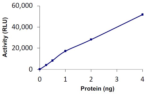 Functional Studies - Recombinant human USP15 protein (Active) (AB269116)