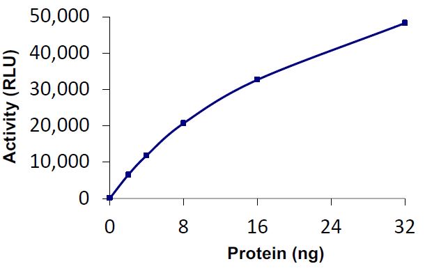 Functional Studies - Recombinant human USP16 protein (Active) (AB269117)