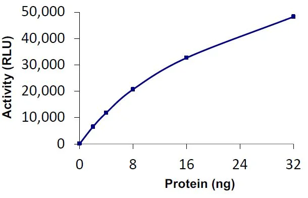 Functional Studies - Recombinant human USP16 protein (Active) (GST tag N-Terminus) (AB269117)