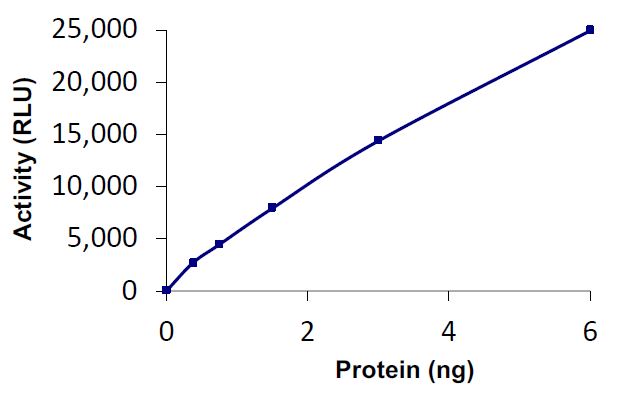 Functional Studies - Recombinant human USP20 protein (Active) (AB269119), expandable thumbnail