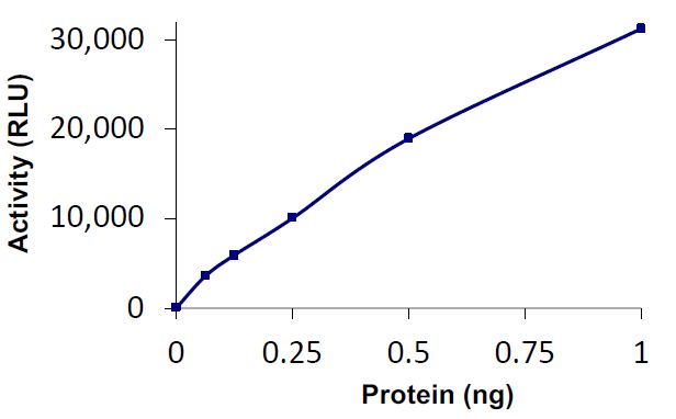 Recombinant human USP35 protein (Tagged)