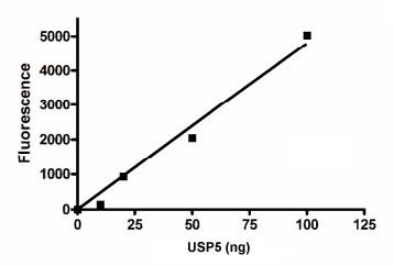 Functional Studies - Recombinant human USP5 protein (AB198421), expandable thumbnail