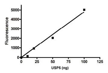 Functional Studies - Recombinant human USP5 protein (AB198421)
