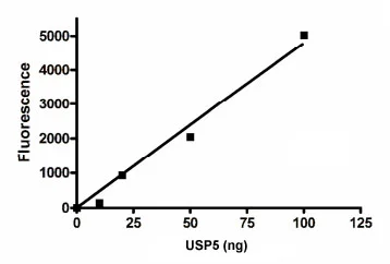 Functional Studies - Recombinant human USP5 protein (DDDDK tag N-Terminus) (AB198421)
