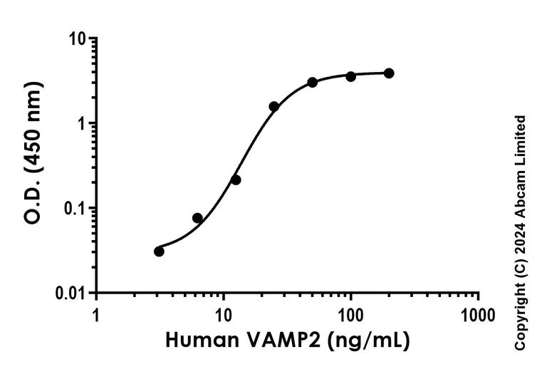 SDS-PAGE - Recombinant Human VAMP2 Protein Standard (His tag) (AB323078)