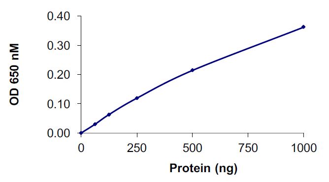Functional Studies - Recombinant human VCP protein (Active) (AB269130), expandable thumbnail
