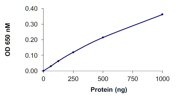 Functional Studies - Recombinant human VCP protein (Active) (AB269130)