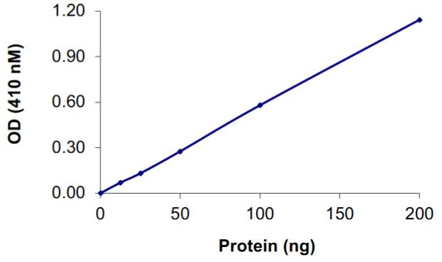 Recombinant human VE-PTP protein (Active)