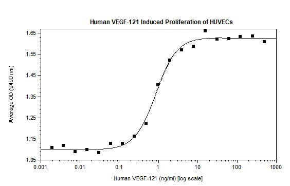 Functional Studies - Recombinant human VEGF 121B protein (AB61872)