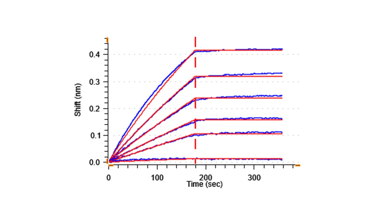 Biological Activity - Recombinant Human VEGF Receptor 1 protein (Active) (AB281824)