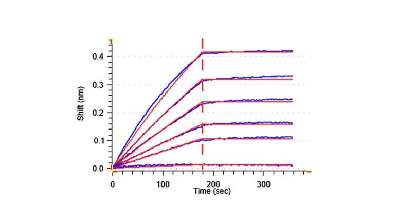 Functional Studies - Recombinant Human VEGF Receptor 1 protein (Active) (AB281824)