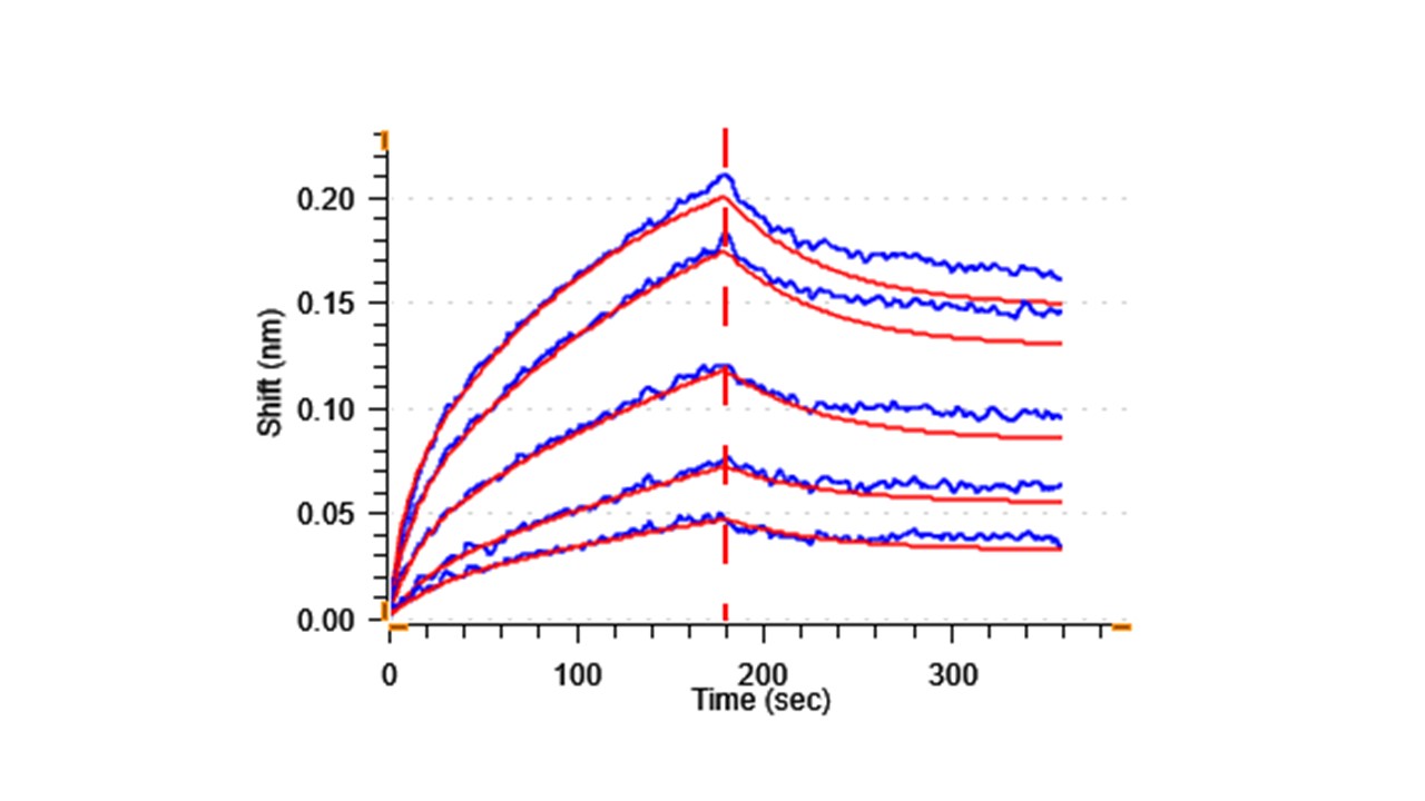 Biological Activity - Recombinant human VEGF Receptor 2 protein (Active) (AB281825), expandable thumbnail