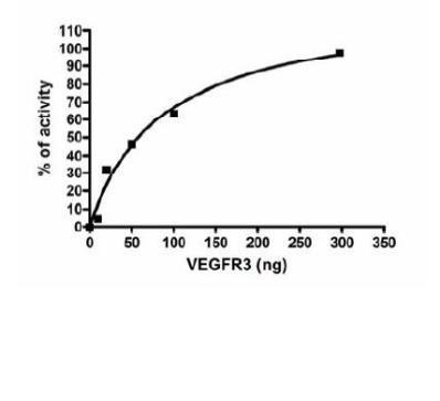 Functional Studies - Recombinant human VEGF Receptor 3 protein (AB95247), expandable thumbnail
