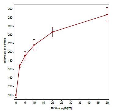Functional Studies - Recombinant human VEGFA protein (AB53824)