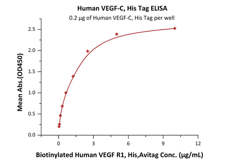 Functional Studies - Recombinant human VEGFC protein (AB155739)